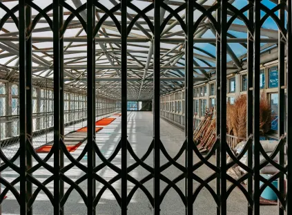 Paripesa Kasino Mobilní aplikace